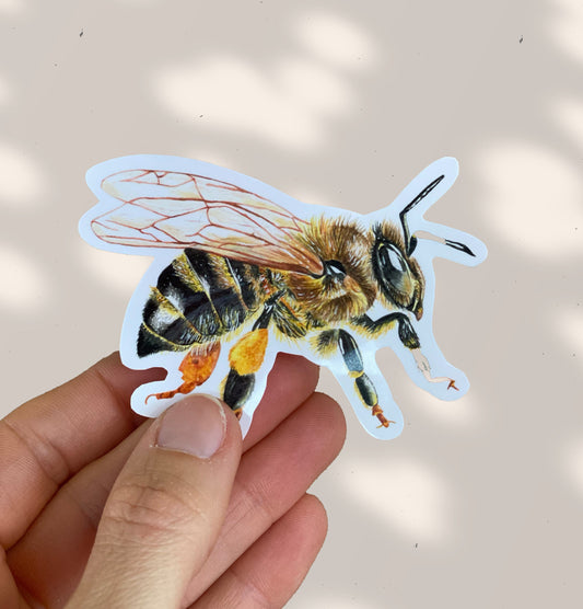 HONEY BEE stickers