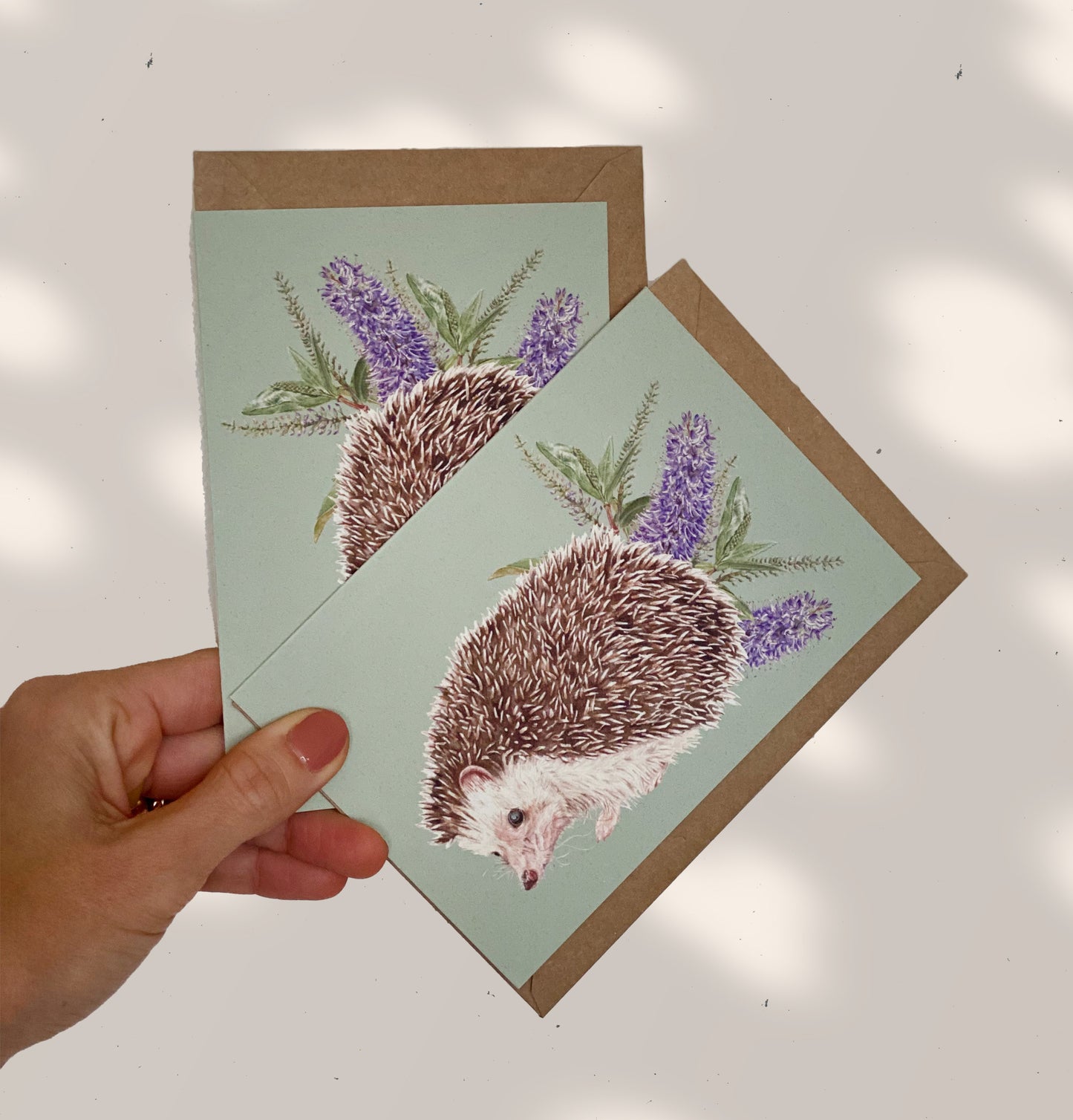 HEDGEHOG and HEBE greeting cards