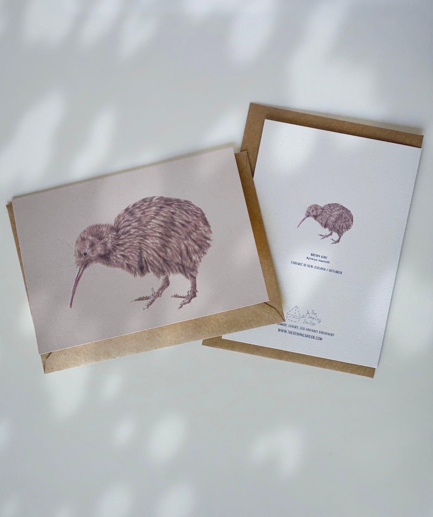 NEW ZEALAND RURU and BROWN KIWI greeting cards