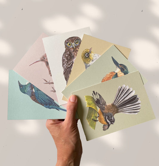 New Zealand native BIRDS POSTCARDS