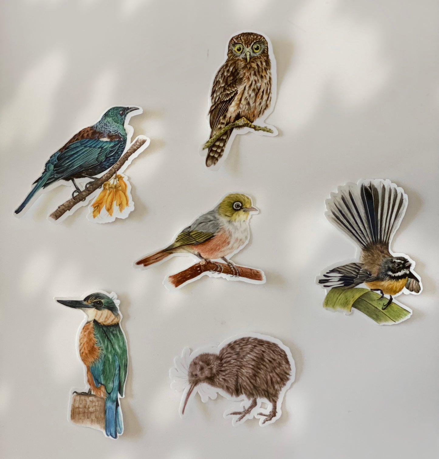 New Zealand NATIVE BIRDS stickers