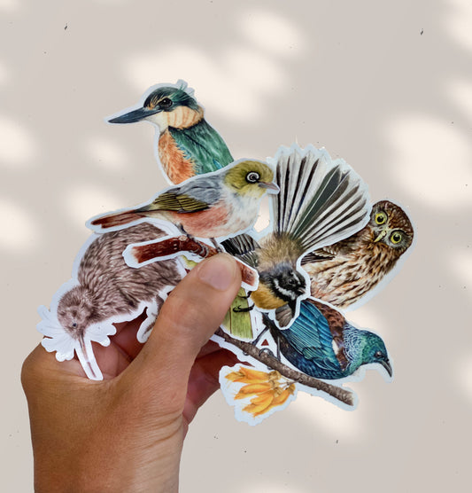 New Zealand NATIVE BIRDS stickers