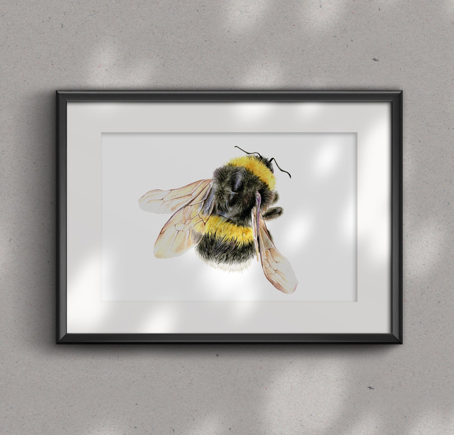 BUMBLEBEE fine art Print