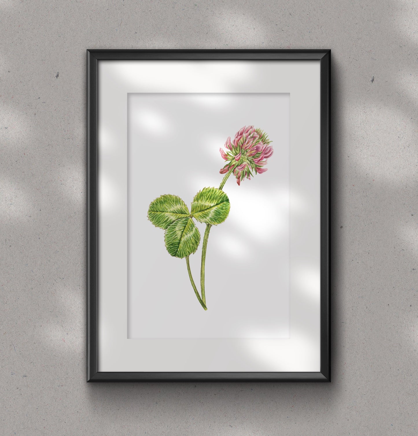 CLOVER fine art Print