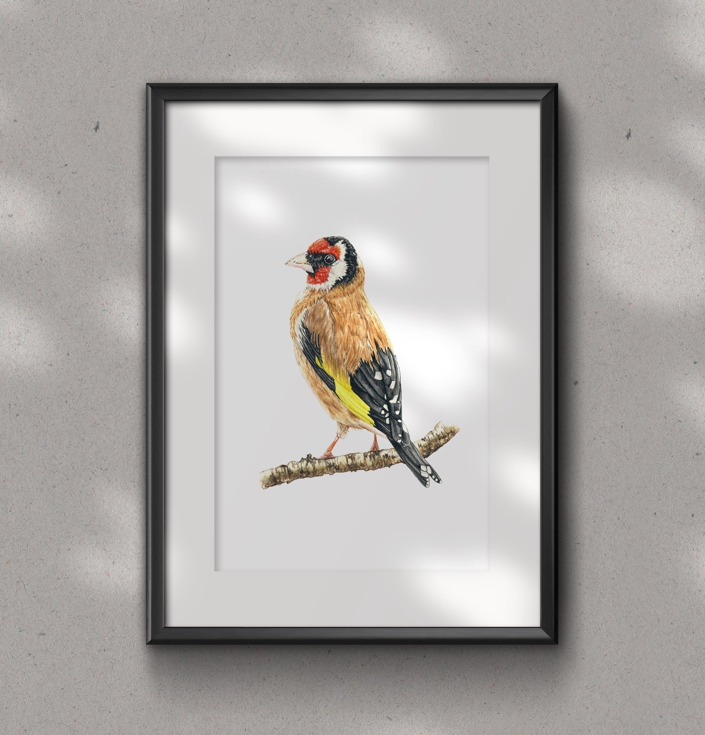 GOLDFINCH fine art Print