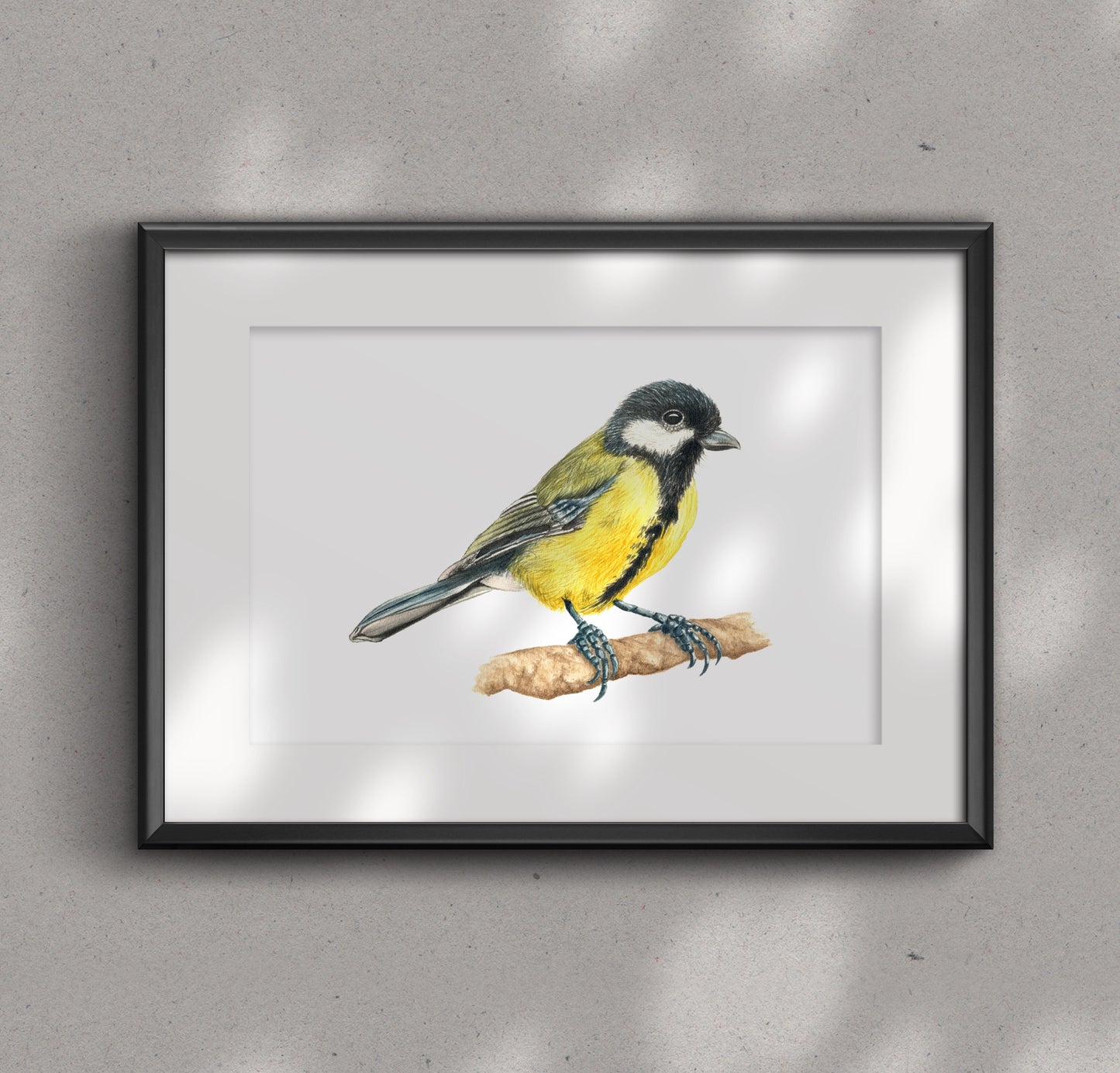 GREAT TIT fine art Print