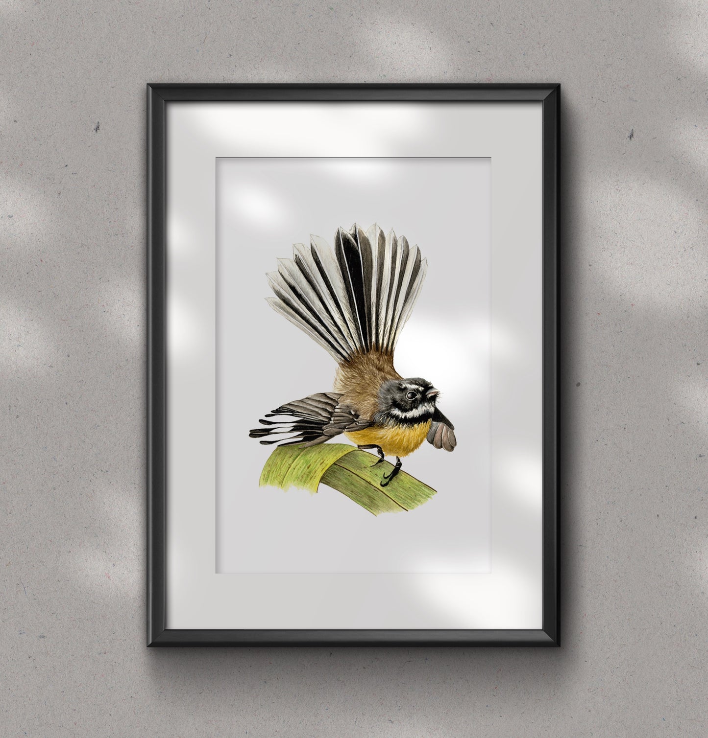 FANTAIL / PIWAKAWAKA fine art Print