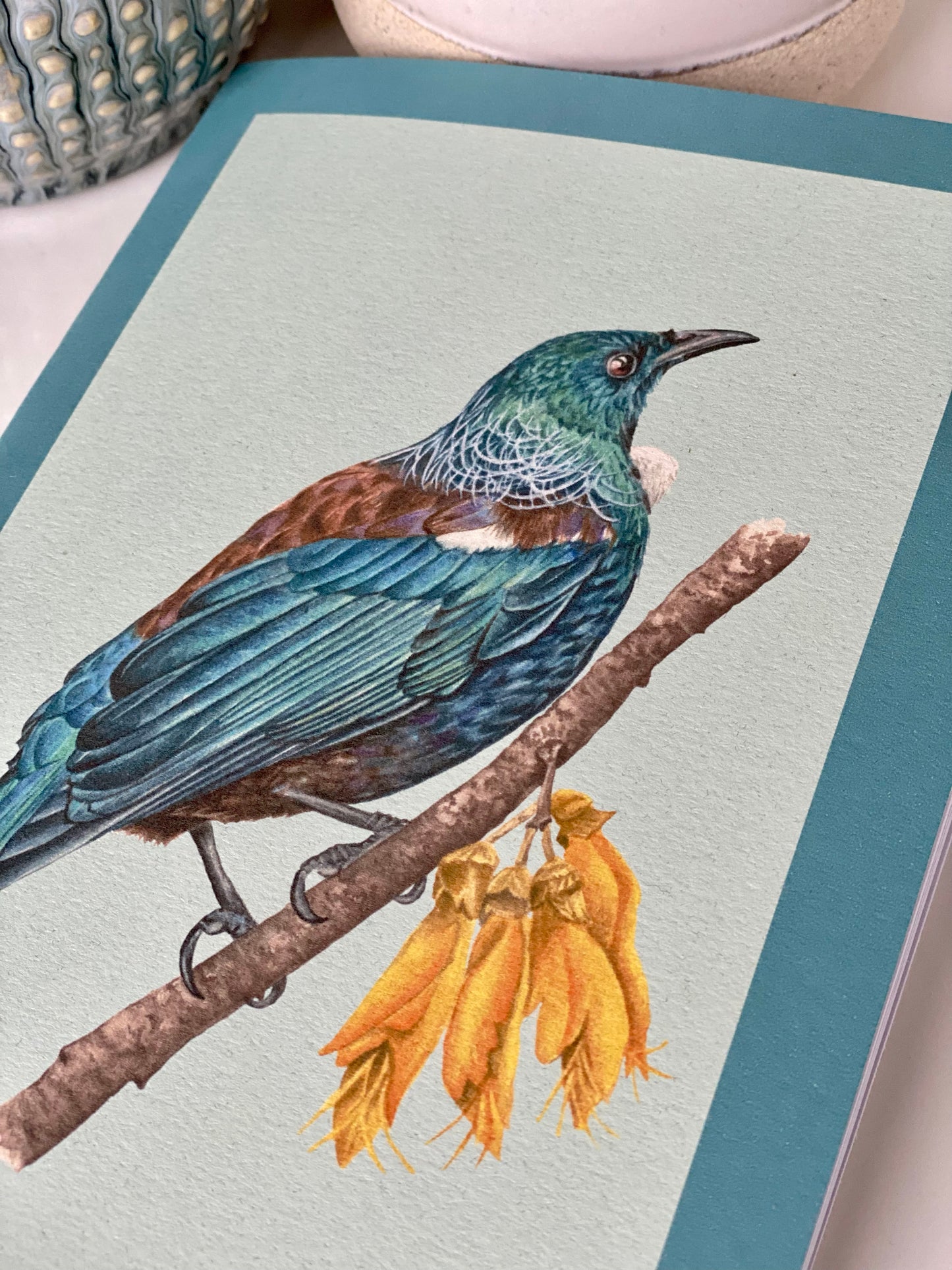 NEW ZEALAND TUI notebook