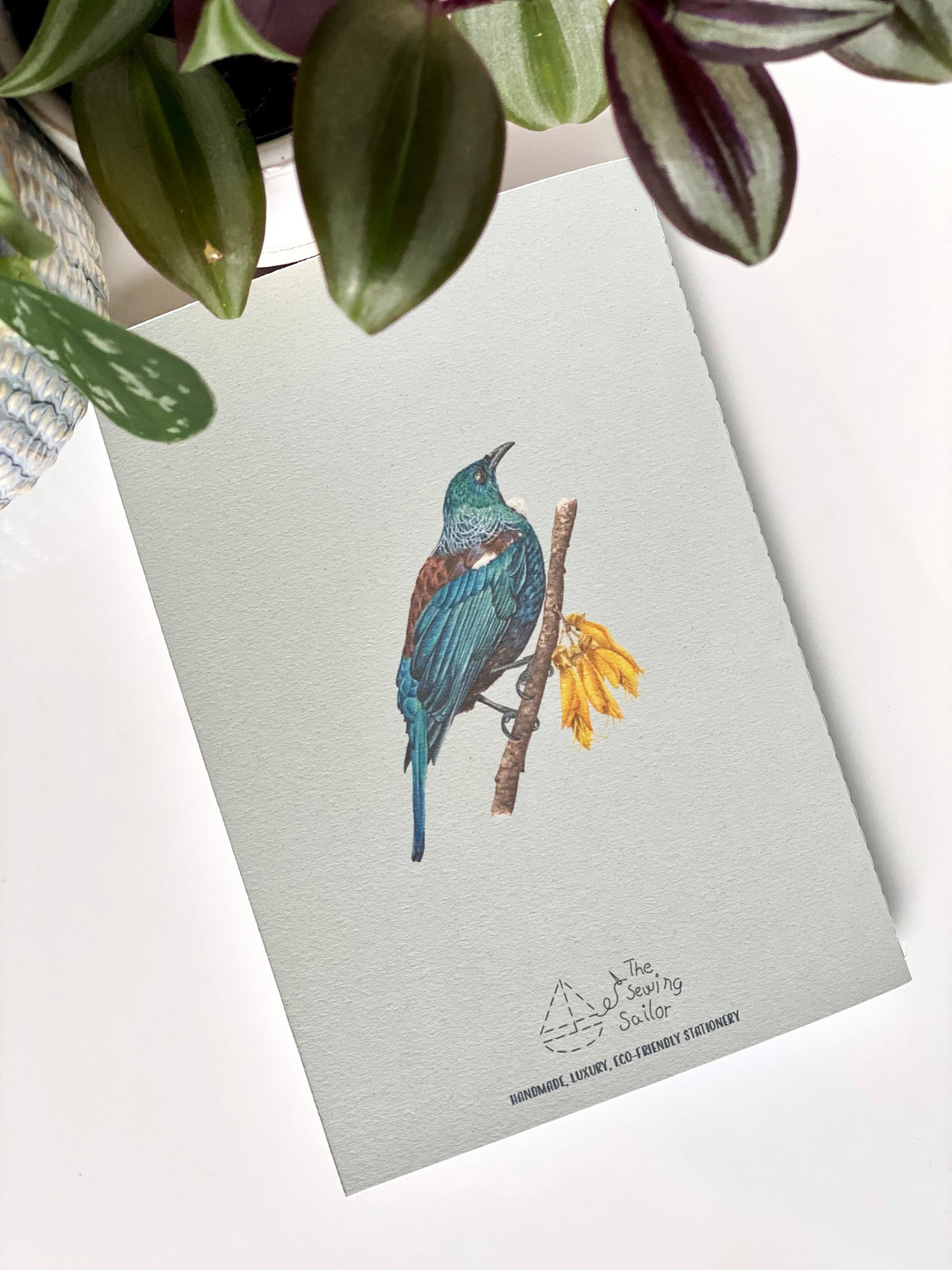 NEW ZEALAND BIRDS notebook