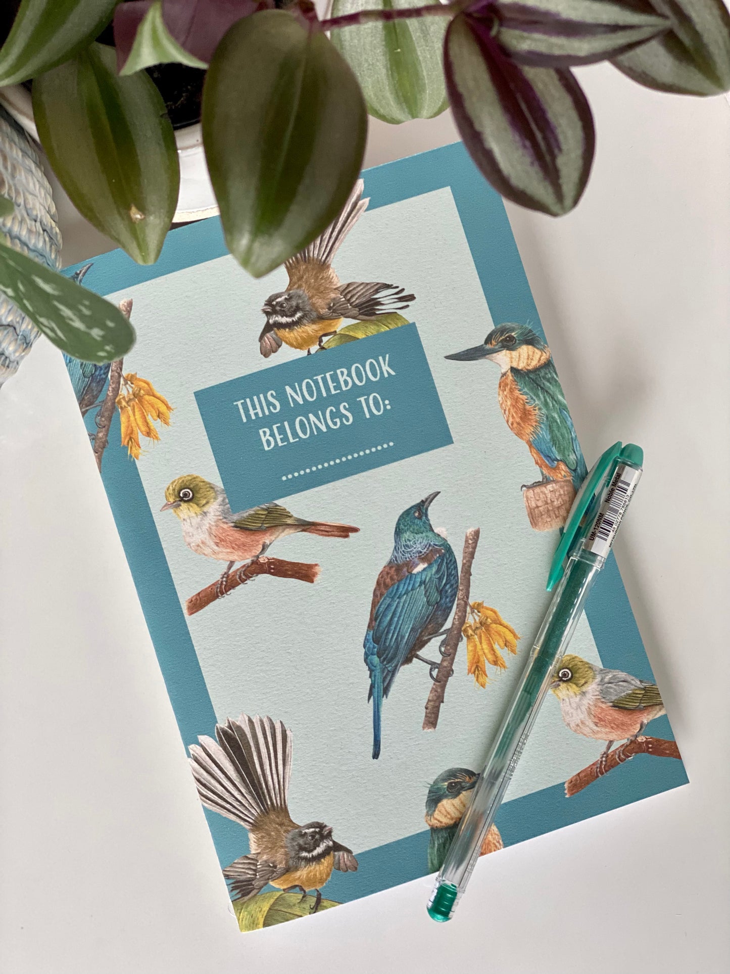 NEW ZEALAND BIRDS notebook