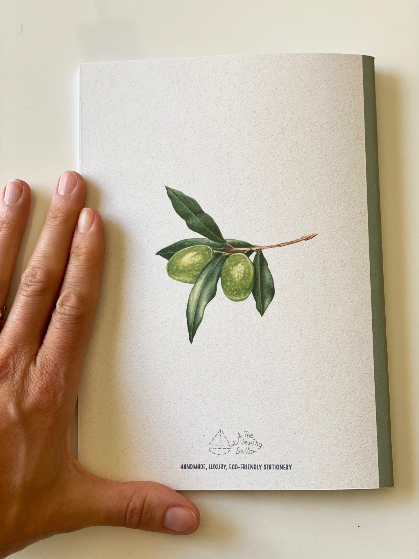 OLIVE branch notebook