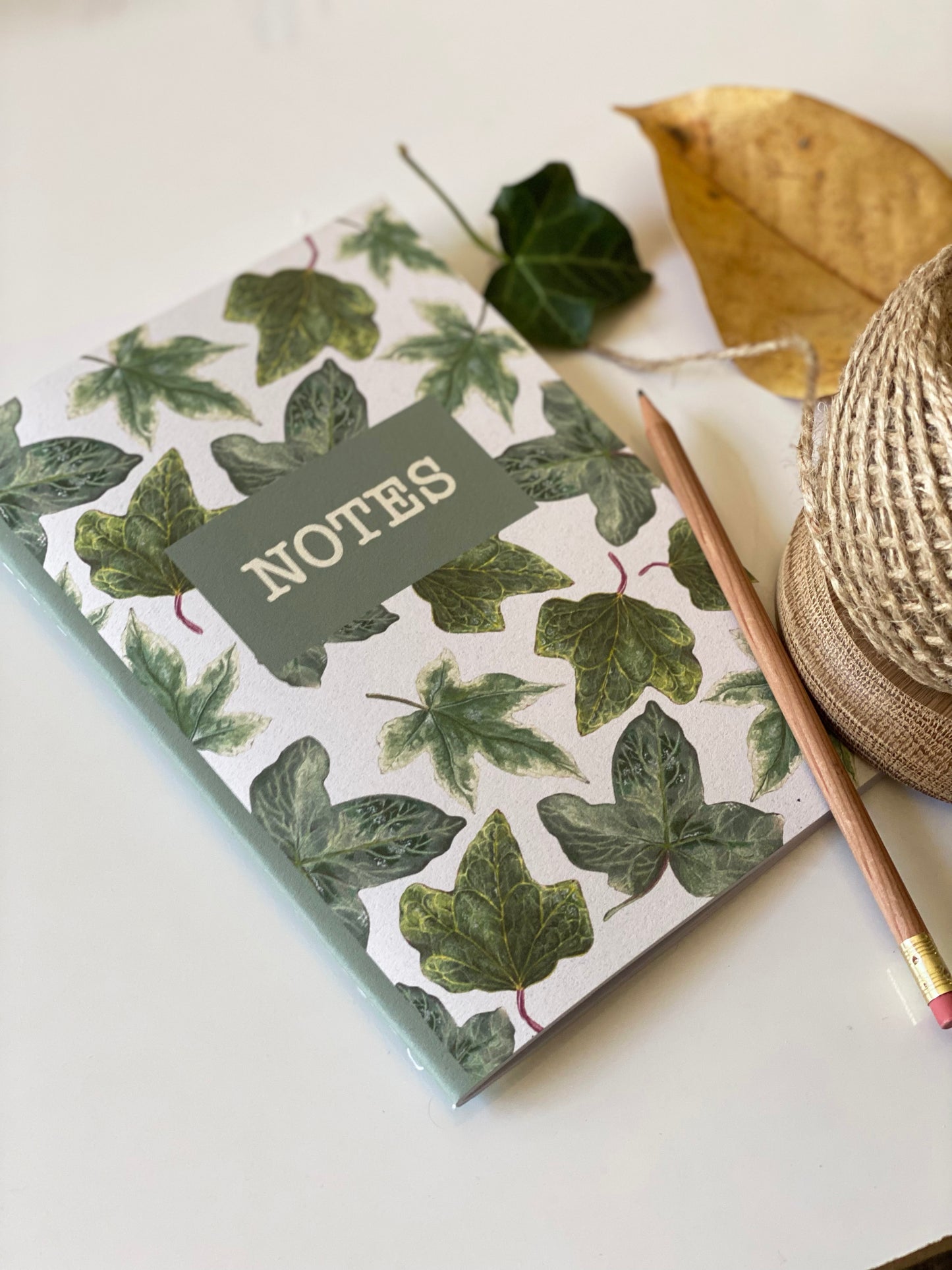 IVY notebook