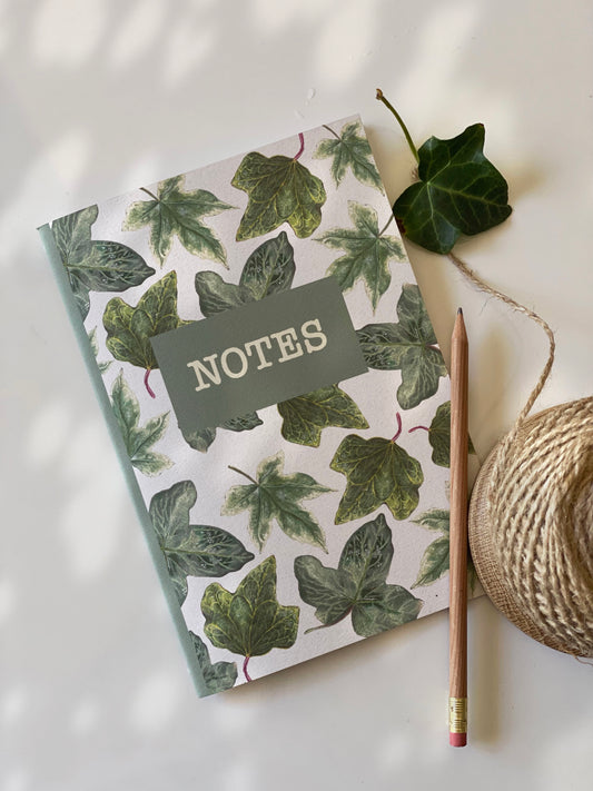 IVY notebook