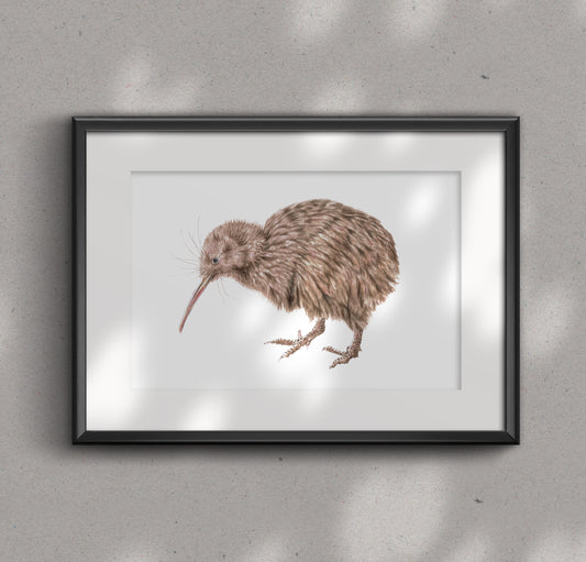 BROWN KIWI fine art Print