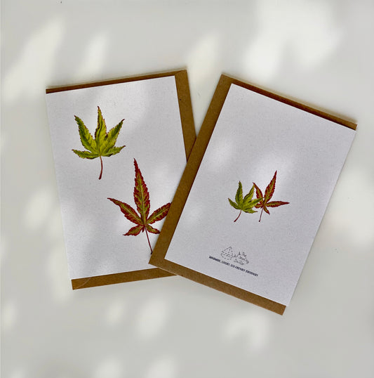 MAPLE LEAVES greeting cards