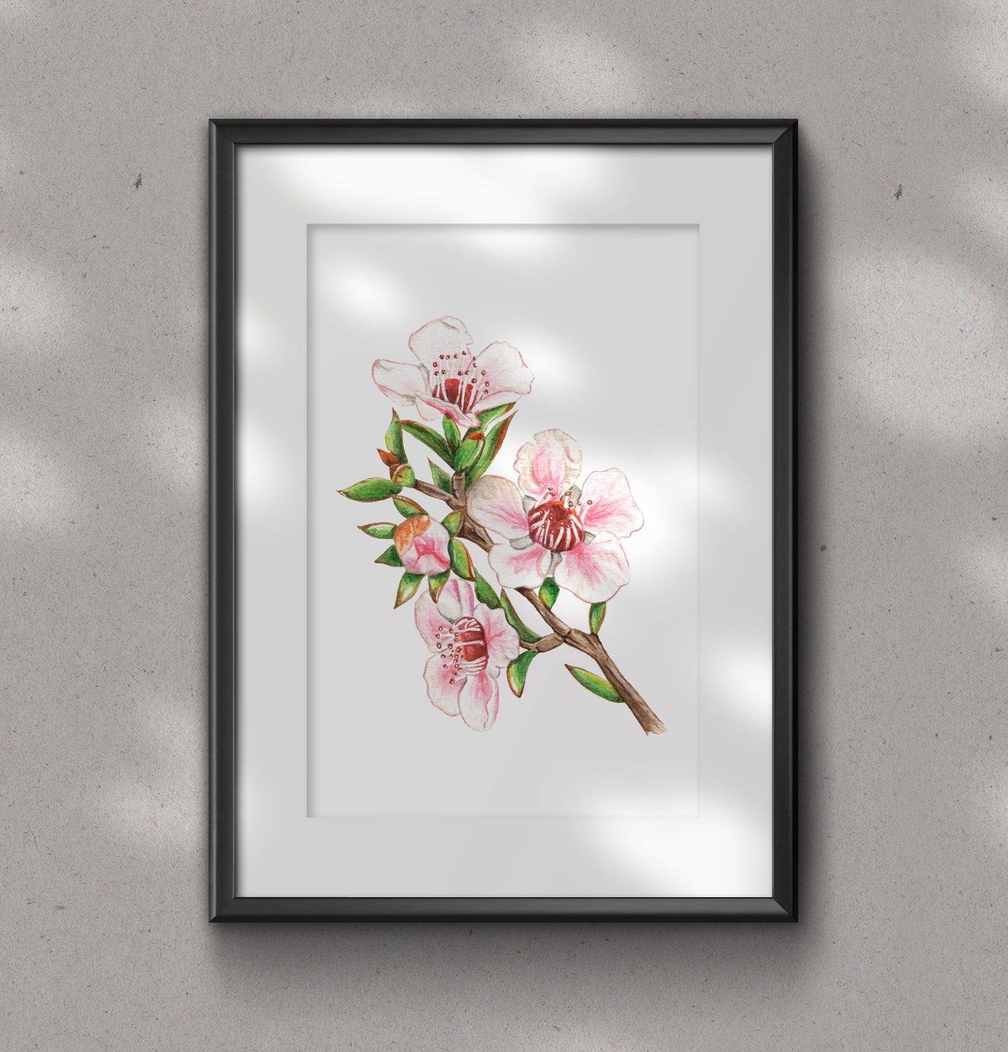 MANUKA FLOWER fine art Print