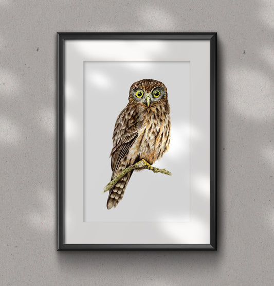 MOREPORK / RURU fine art Print