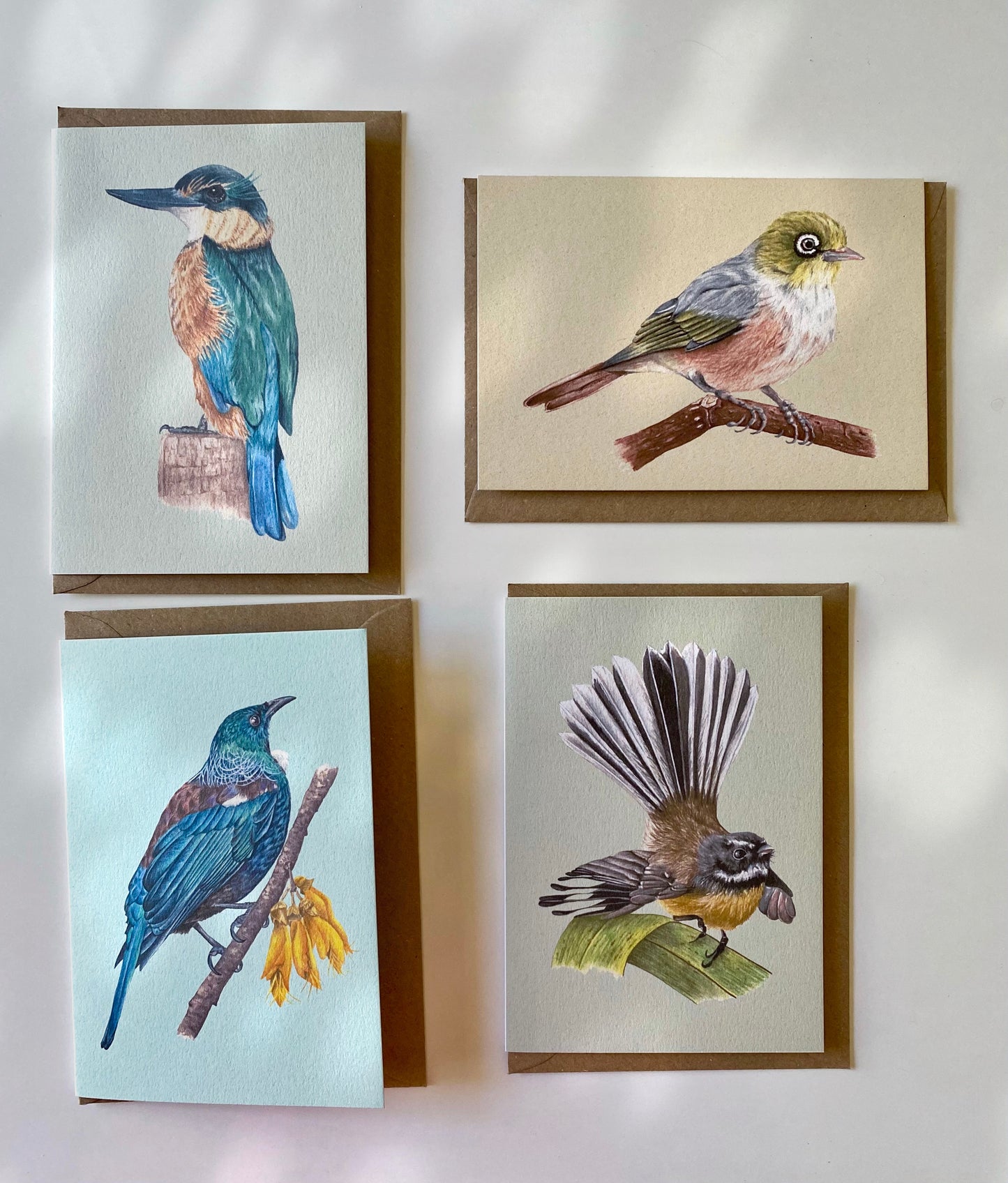 NEW ZEALAND BIRDS greeting cards