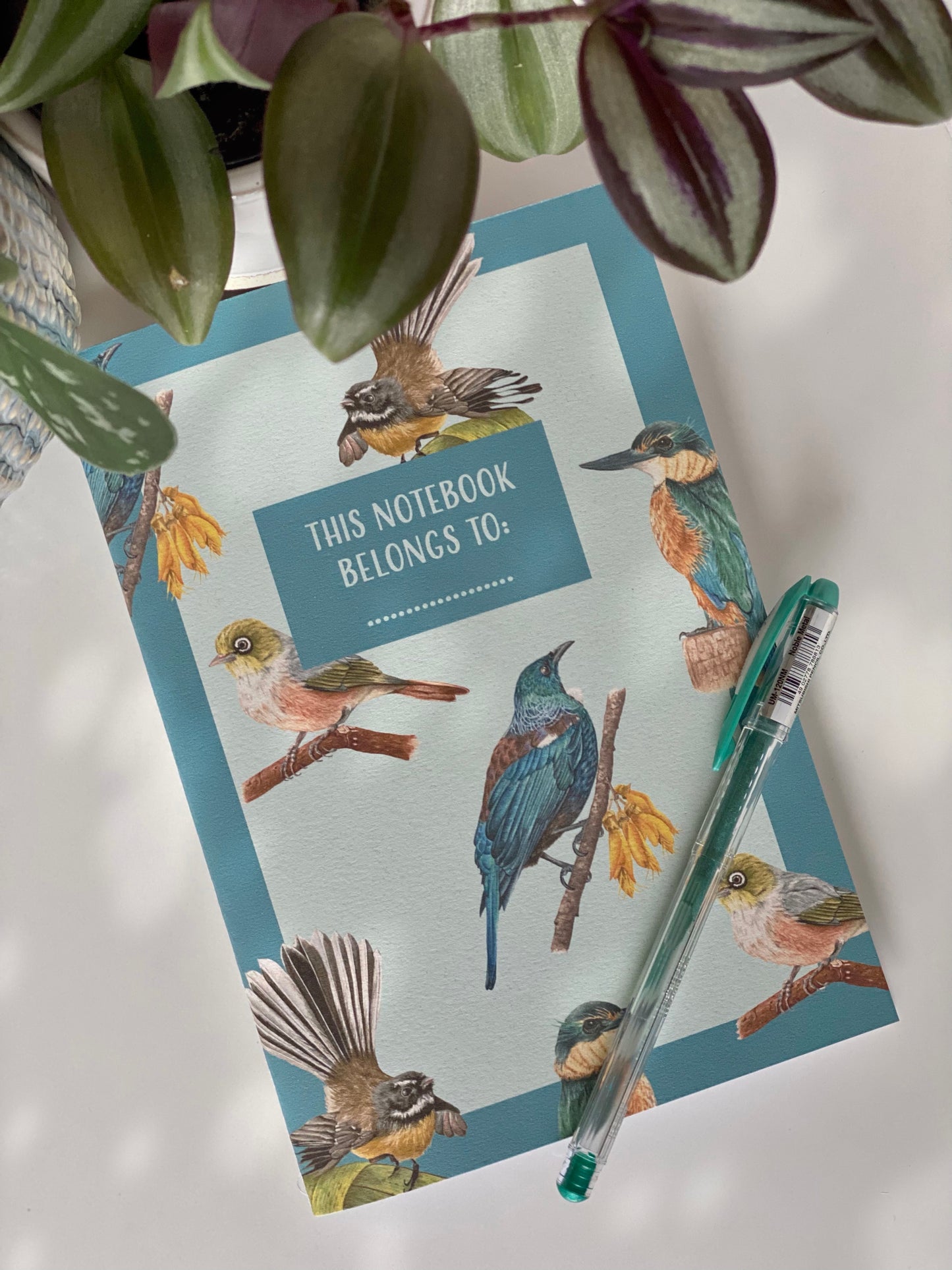 NEW ZEALAND BIRDS notebook