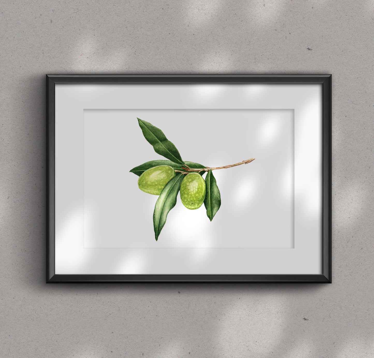 OLIVE branch fine art Print