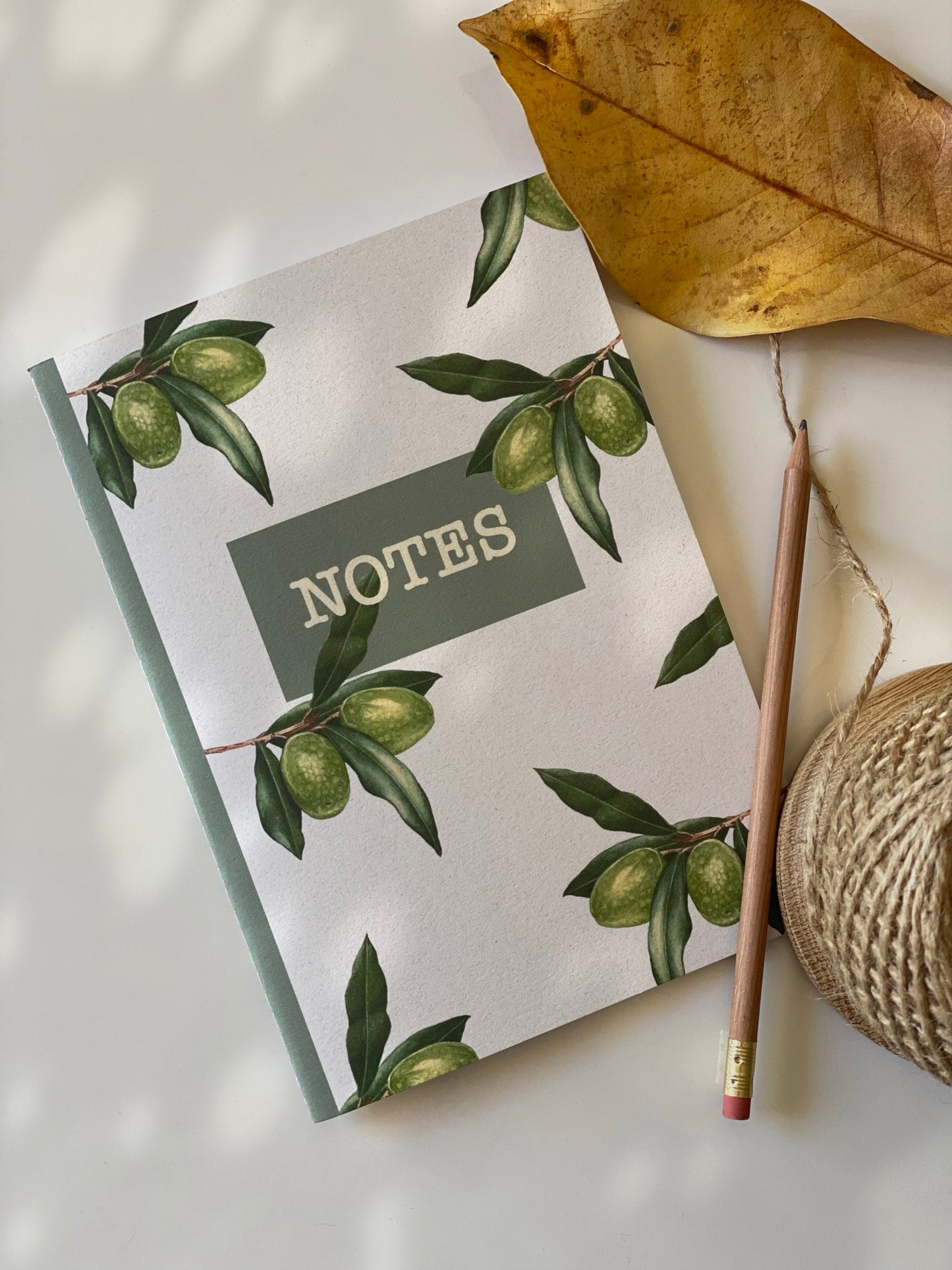 OLIVE branch notebook