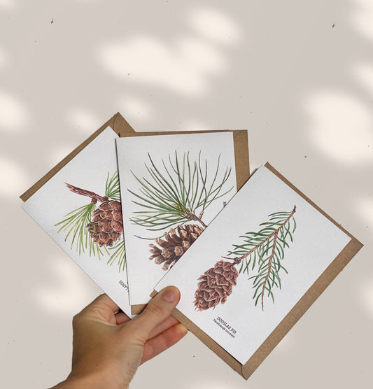 PINE CONES greeting cards