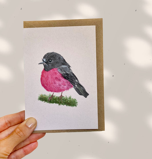 AUSTRALIAN PINK ROBIN greeting cards