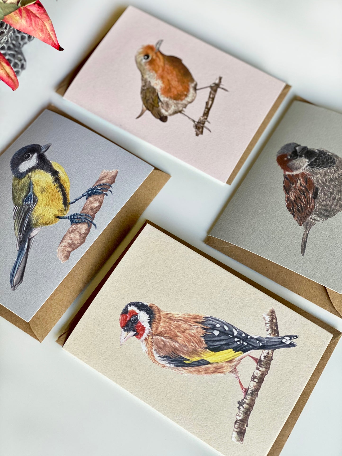 GARDEN BIRDS greeting cards